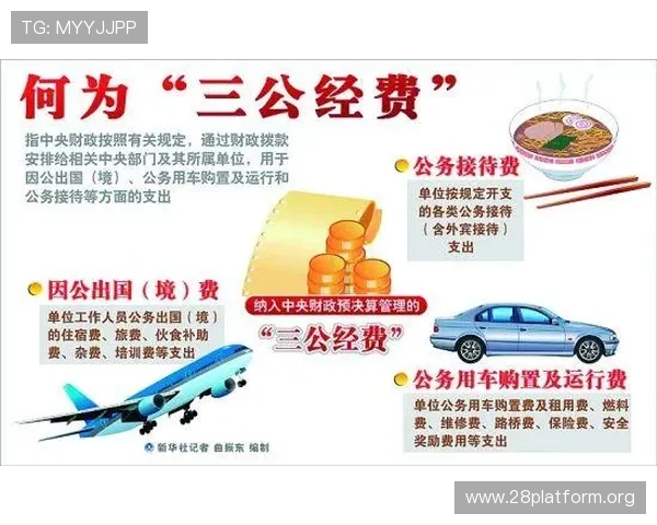 三公经费的定义与来源解析,了解政府公务支出中的三公经费内容